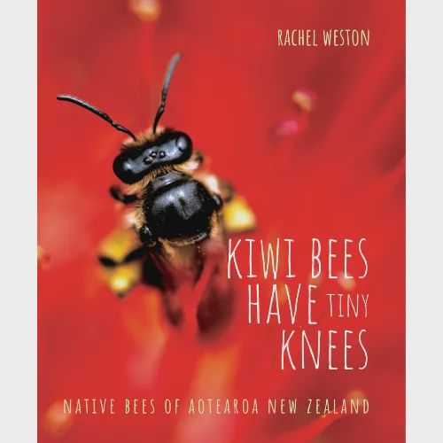 Kiwi Bees have Tiny Knees by Rachel Weston