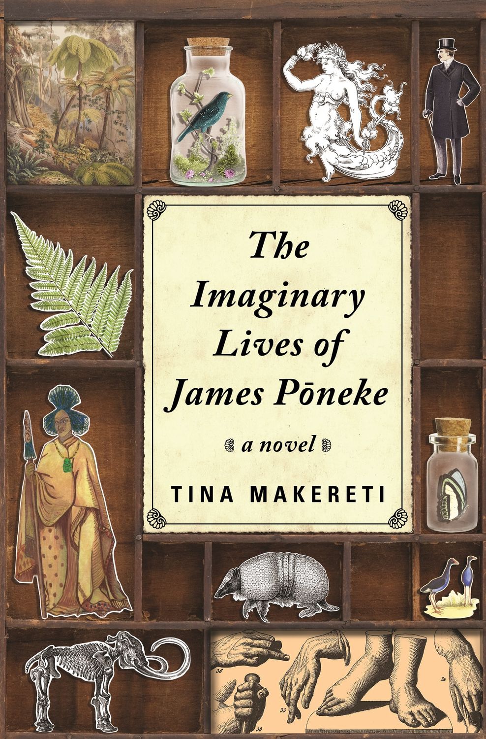 The Imaginary Lives of James Poneke by Tina Makereti
