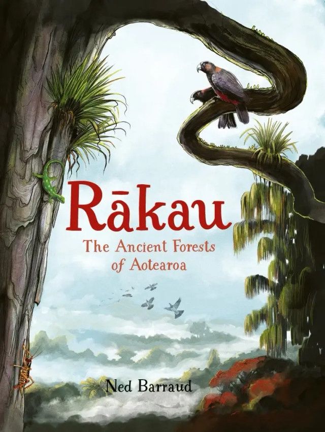 Rakau: The Ancient Forests of Aotearoa by Ned Barraud