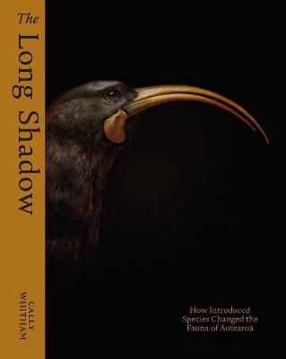 The Long Shadow by Cally Whitham