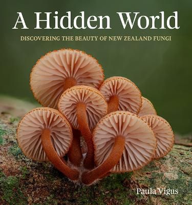 A Hidden World: Discovering the Beauty of NZ Fungi by Paul Vigus