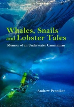 Whales, Snails, and Lobster Tales by Andrew Penniket