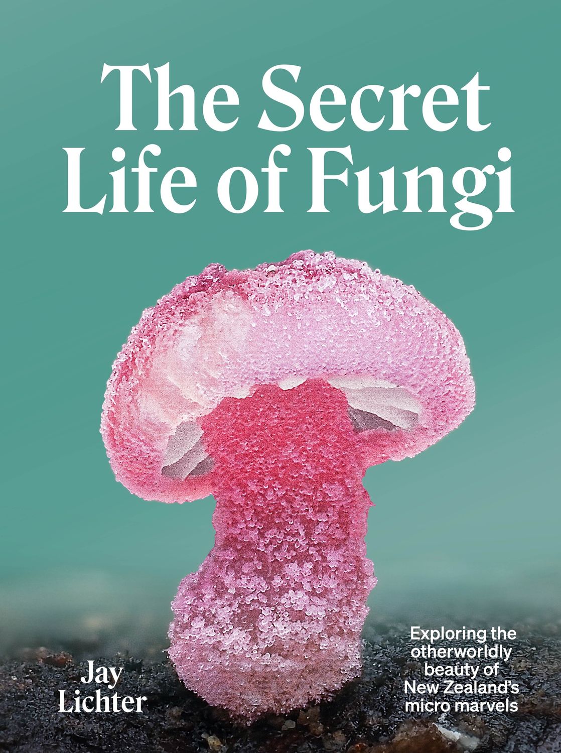 The Secret Life of Fungi by Jay Lichter