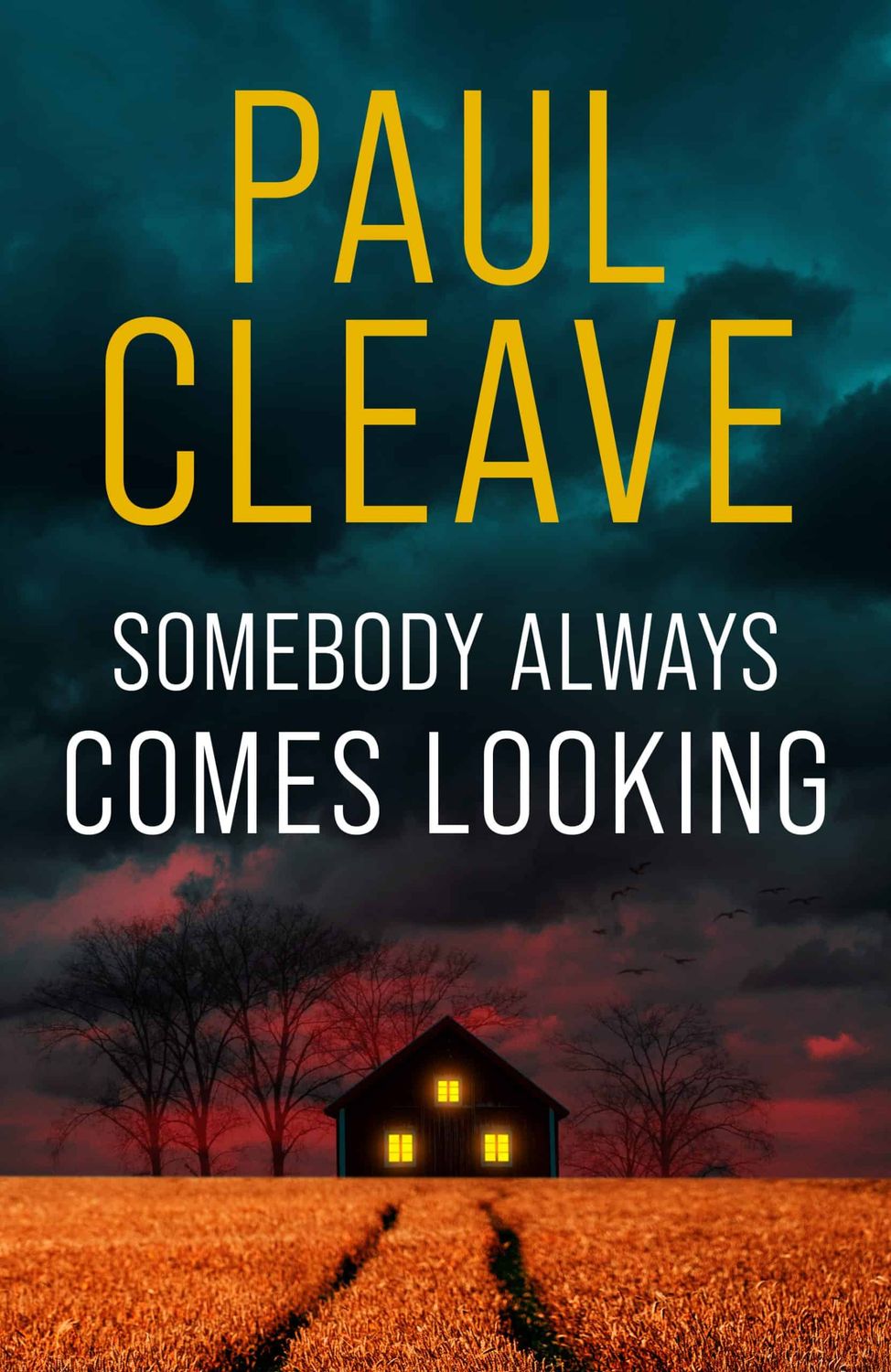 Somebody Always Comes Looking by Paul Cleave
