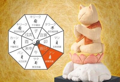 Cat buddha Fugen Bodhisattva (猫buddha 普賢菩薩)