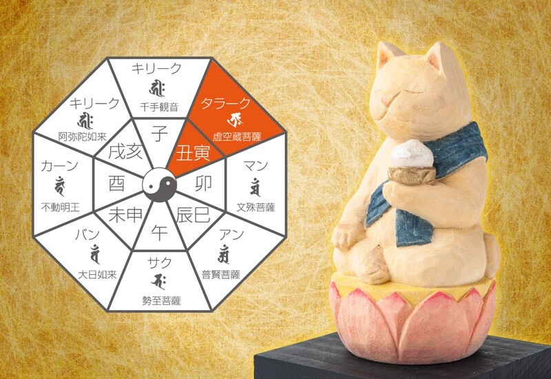 Cat buddha Kokuzo Bosatsu (猫buddha 虚空蔵菩薩)