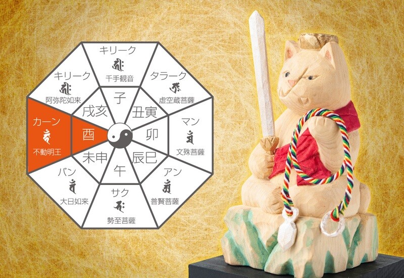 Cat buddha Fudo Myoo (猫buddha 不動明王)