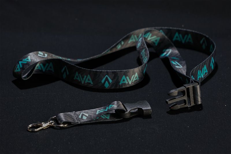 Lanyard