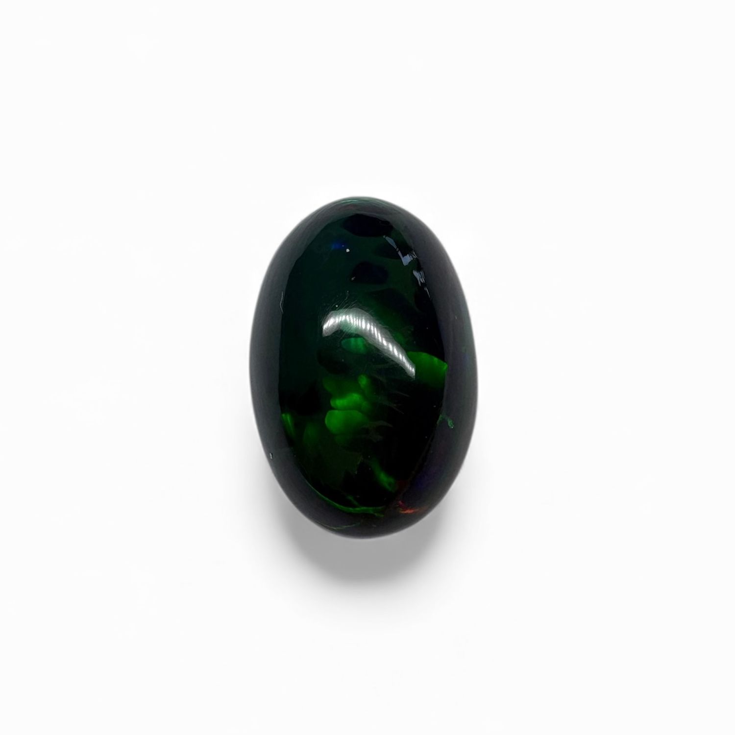 Floral Flash Black Opal