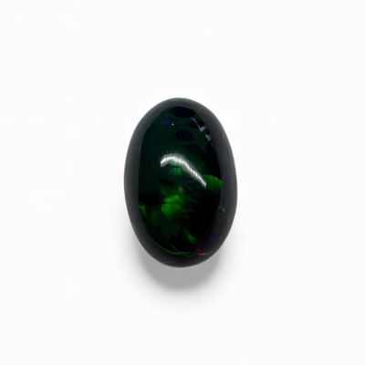 Floral Flash Black Opal