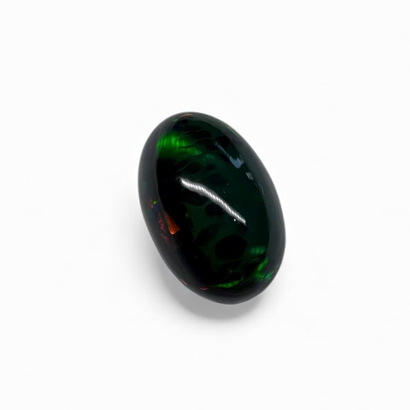 Floral Flash Black Opal