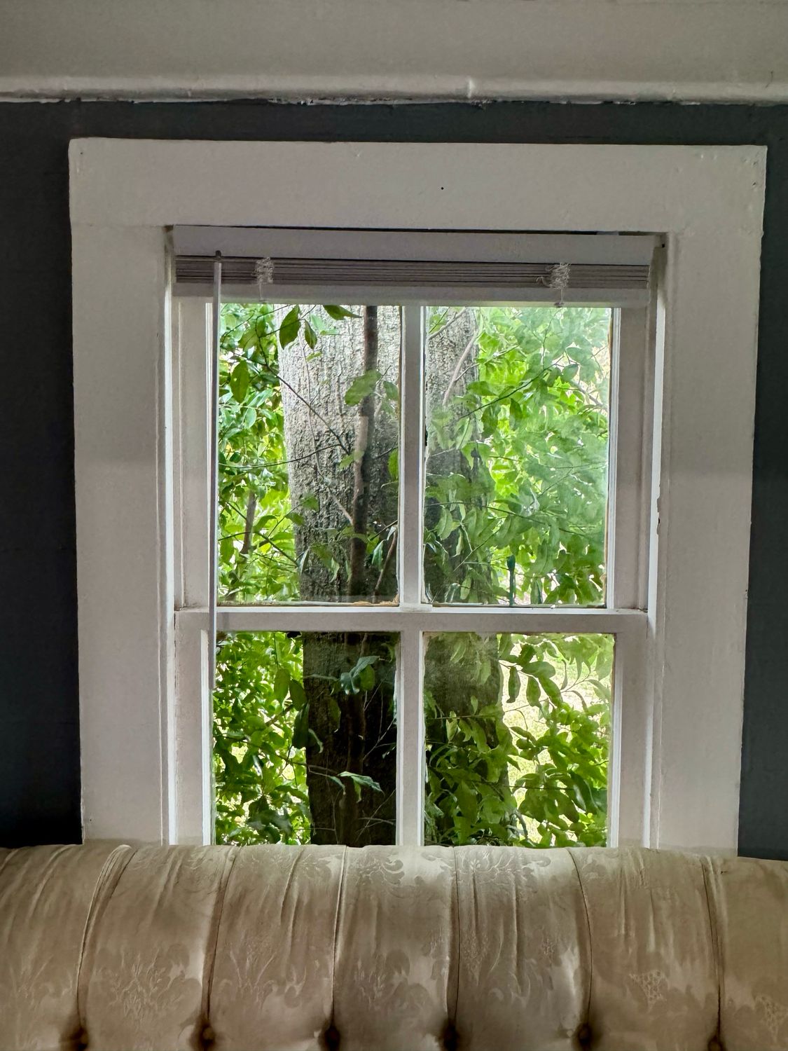 Meditation: Meet Your Guardian Angel