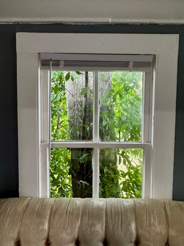 Meditation: Meet Your Guardian Angel