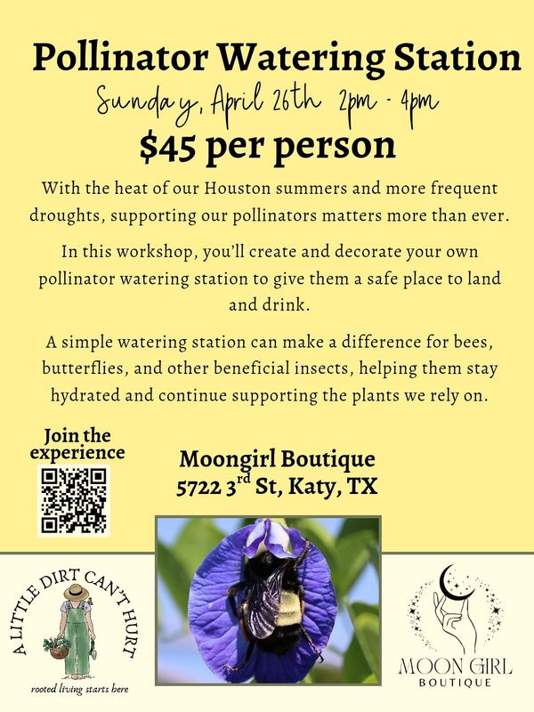 Pollinator Watering Station Workshop