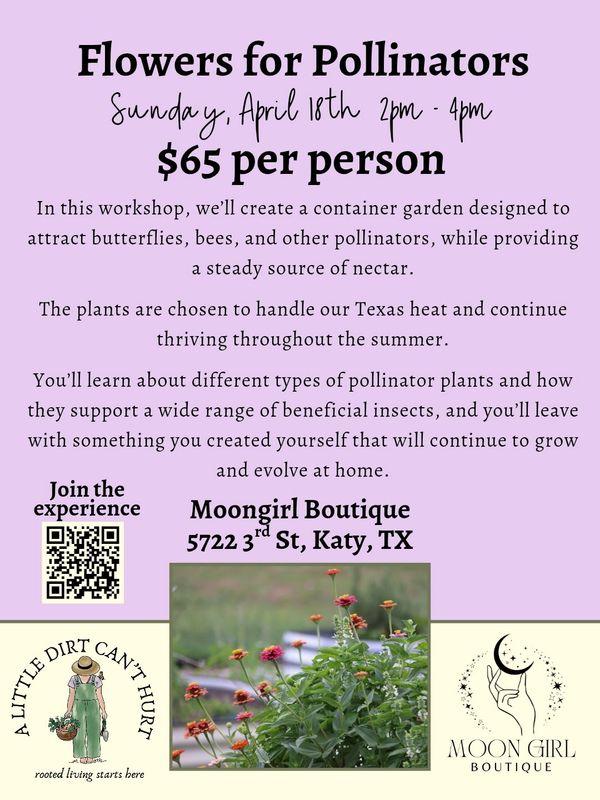 Butterfly Garden Planter Workshop