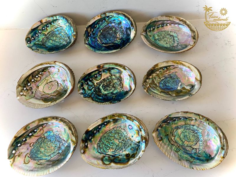 Abalone Shell Smudge Bowls (Large) with Stand