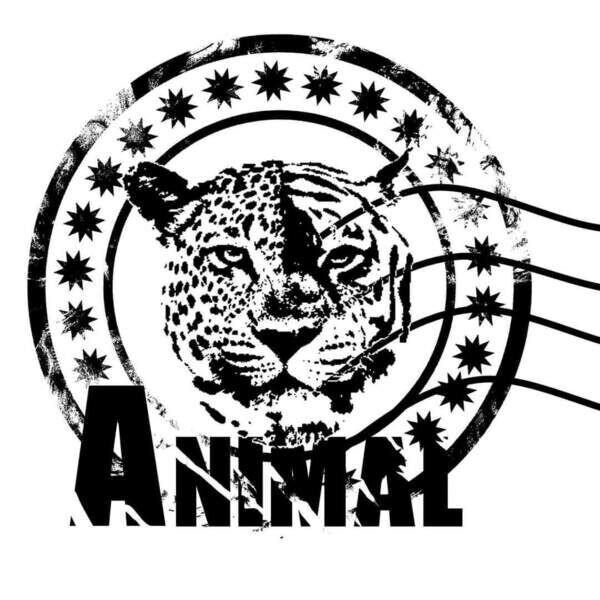 Online Store