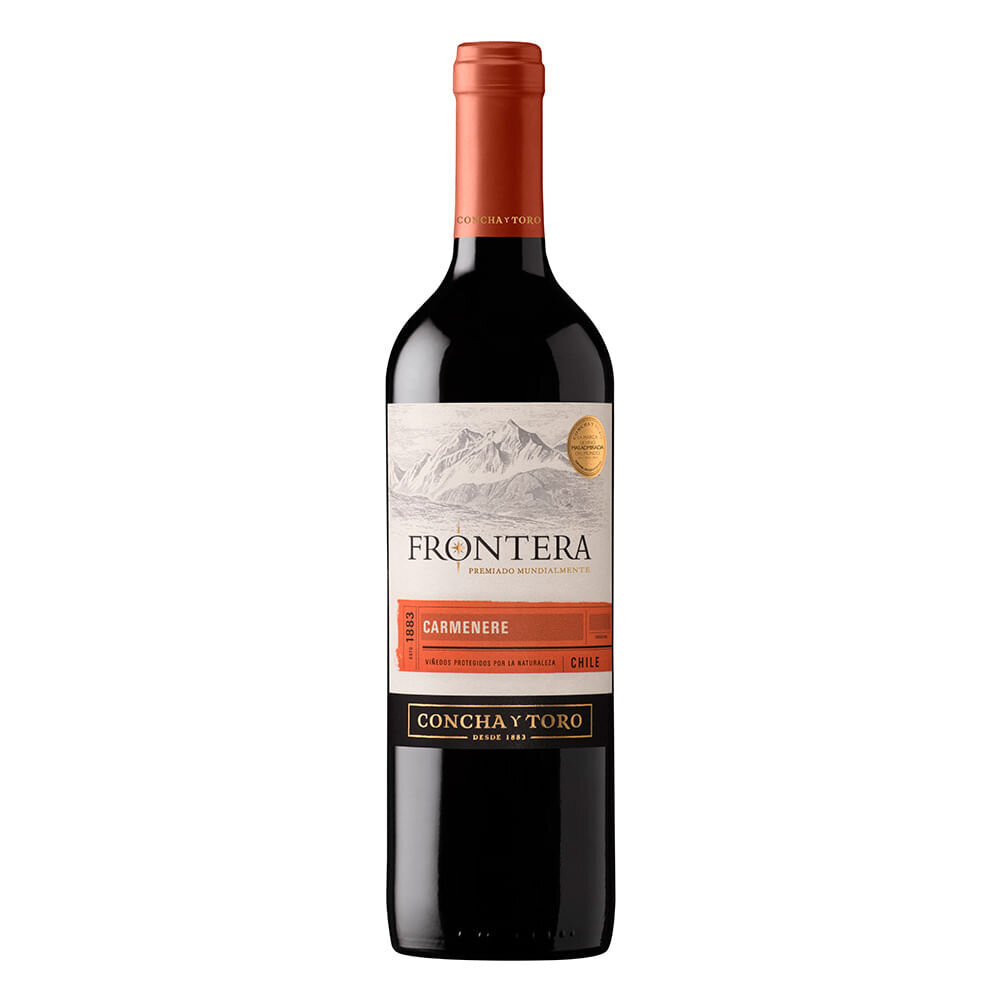 Vino frontera carmenere bt und