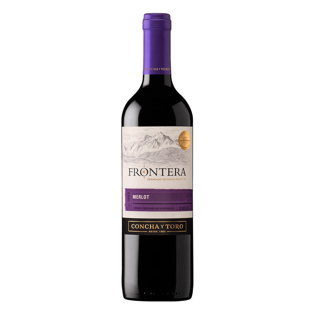 Vino frontera merlot bt und