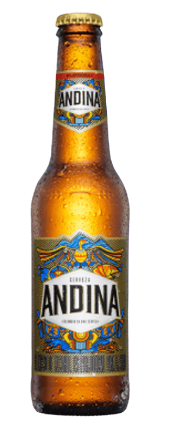 ANDINA CANASTA 300 NR