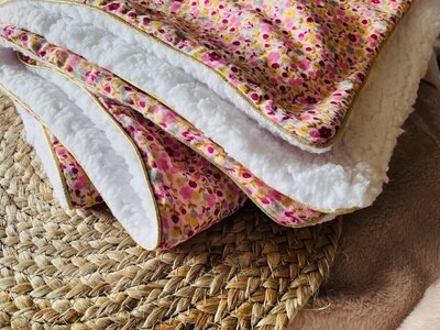 Couverture d&#39;hiver