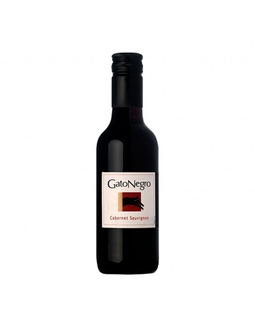 Gato negro picolo tinto