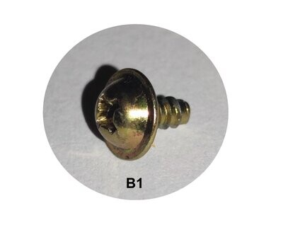 Tornillo brazo B1 SFPEV1720