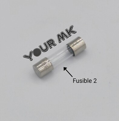 Fusible de 250MA X1
