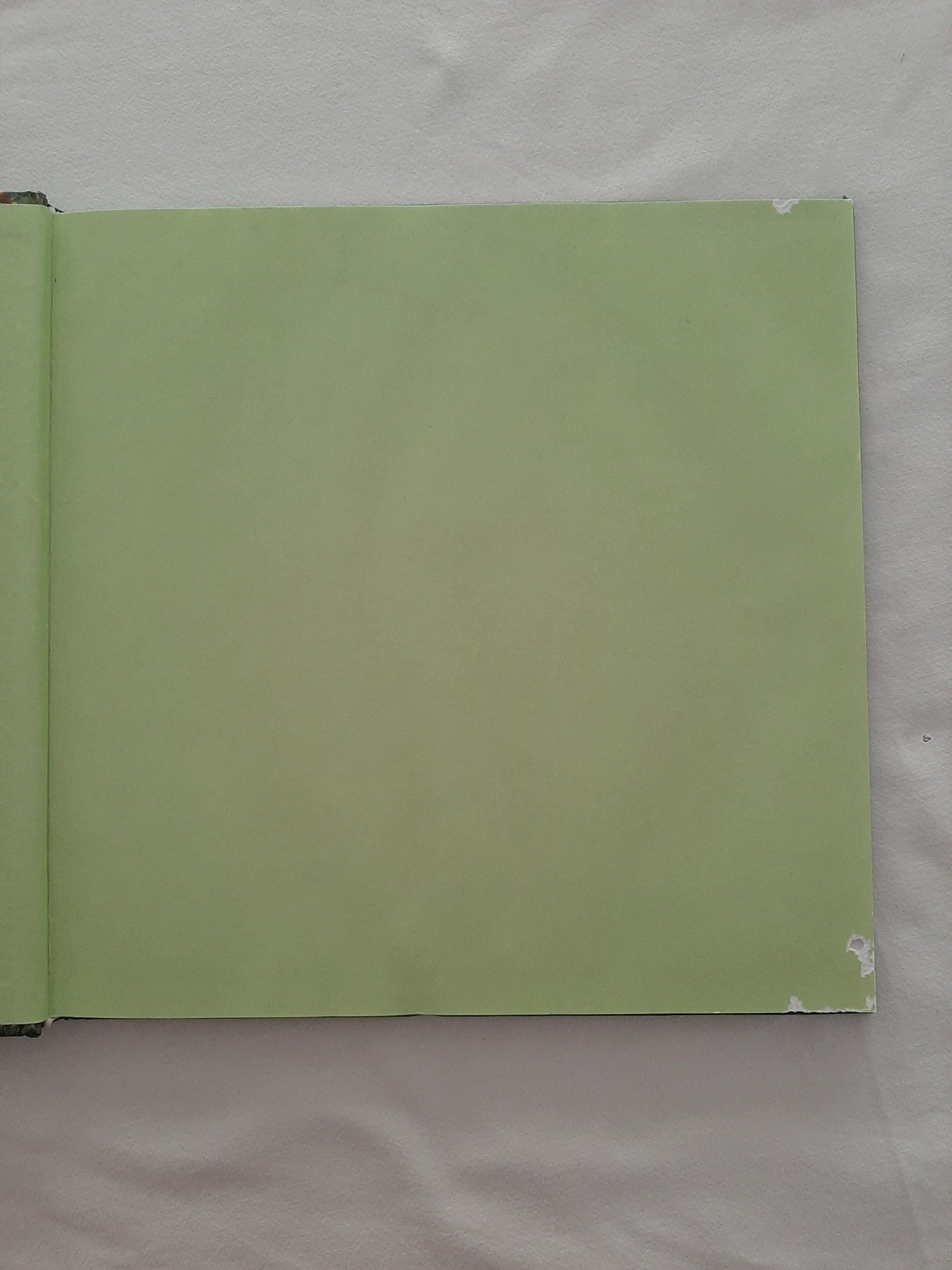 Originele tuinprojecten in één dag te maken - Stewart Walton