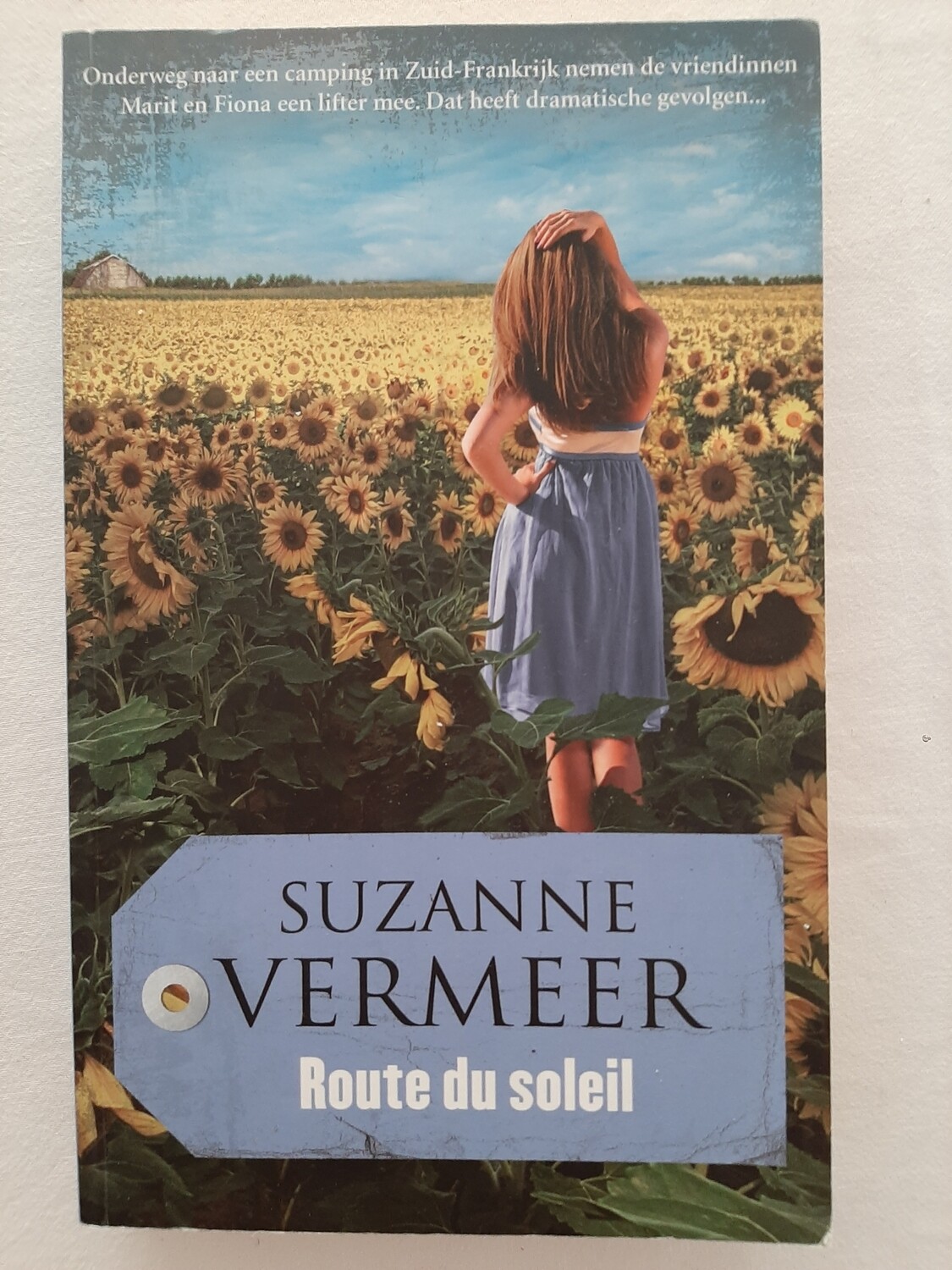 Route du soleil - Suzanne Vermeer
