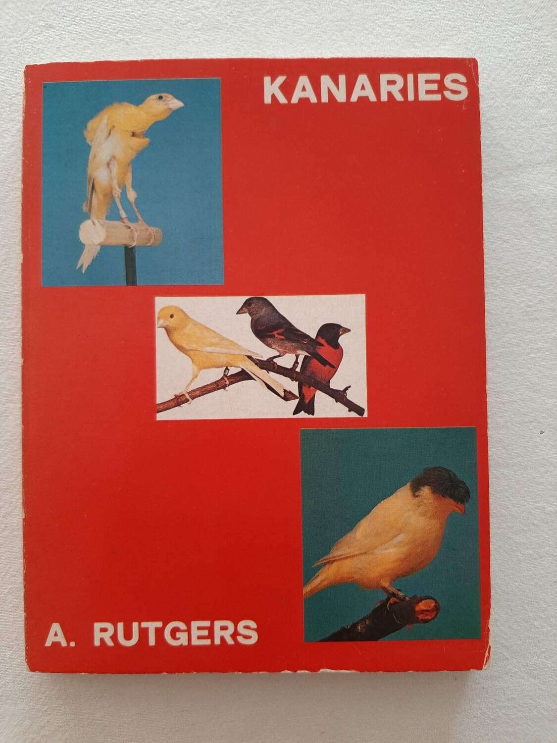 Kanaries - A. Rutgers