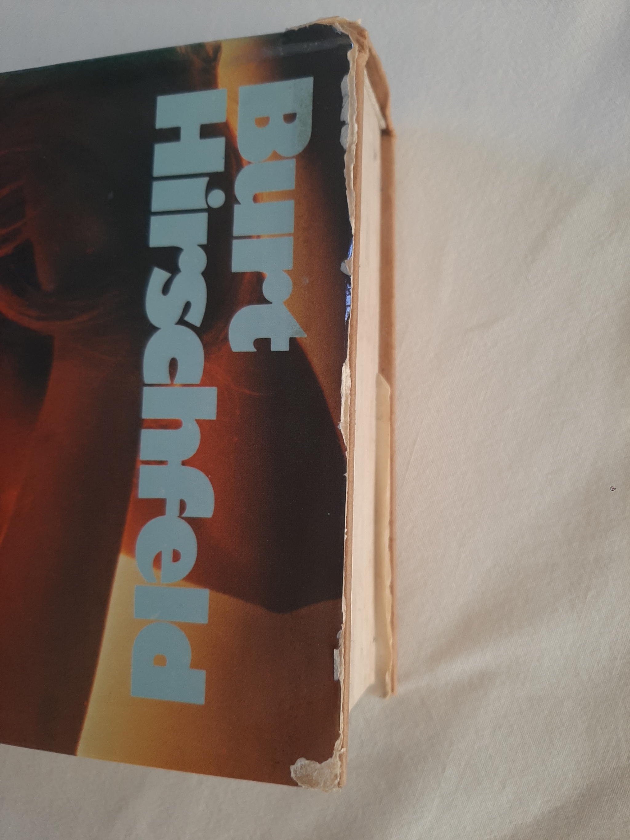 De Patriot - Burt Hirschfeld