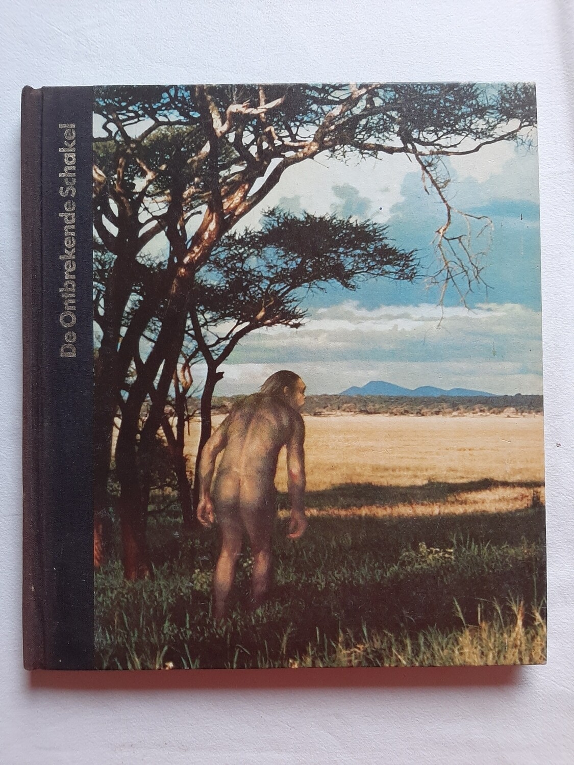 De Ontbrekende Schakel