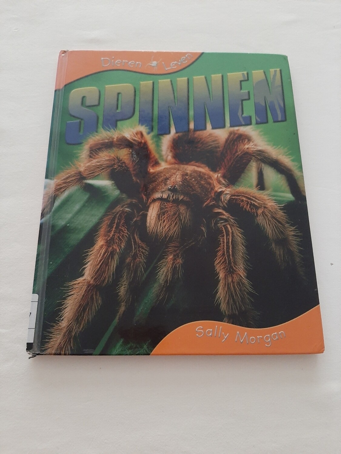 Spinnen - Sally Morgan