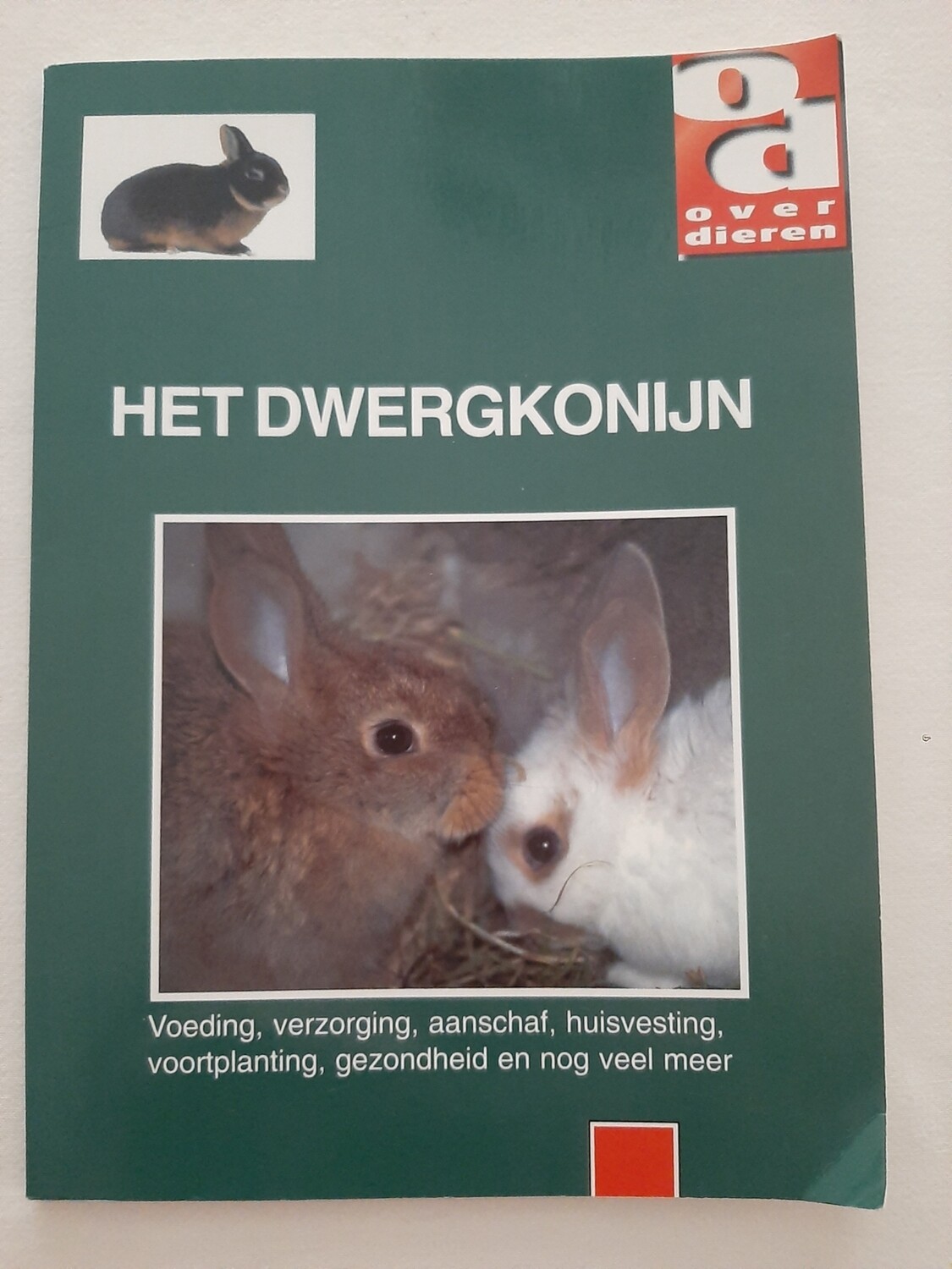Het dwergkonijn