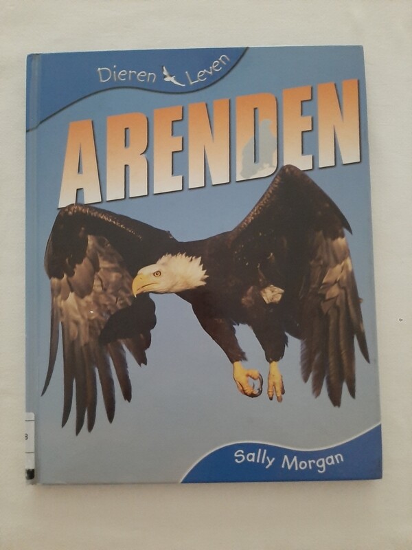 Arenden - Sally Morgan