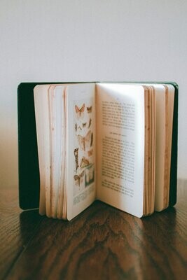 Kinderboeken