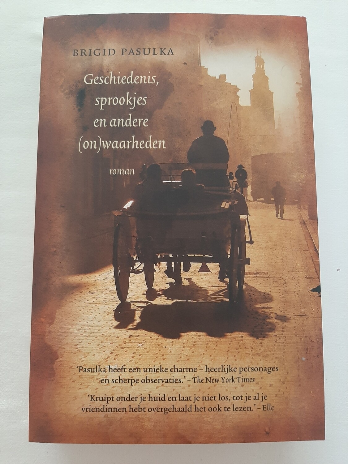 Geschiedenis, sprookjes en andere (on)waarheden - Brigid Pasulka