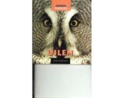 Dieren families - Uilen