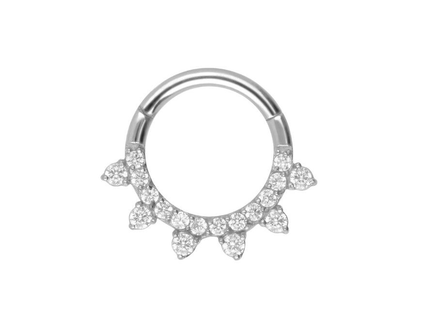 Segmentring Clicker EINGEFASSTE KRISTALLE (Chirurgenstahl)