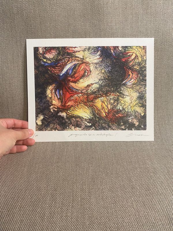 Fragments of a catastrophe I