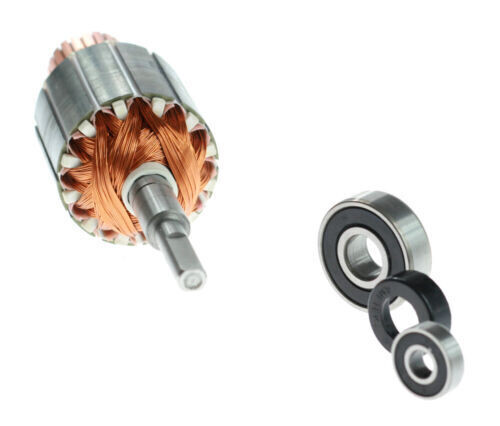 Robot Coupe MP 230V induced circuit