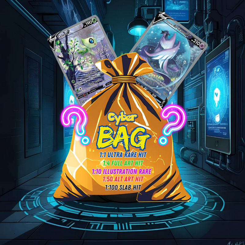Cyber Mystery Bags