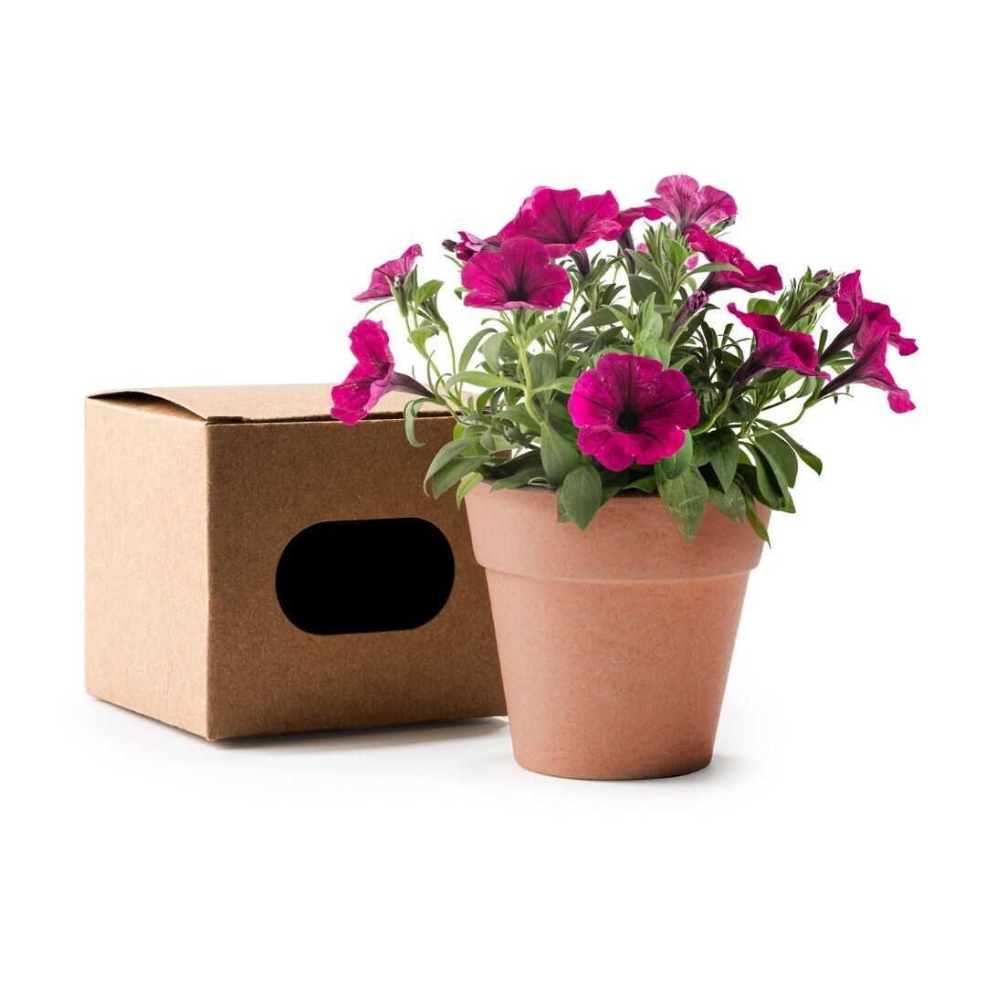 MACETA PERSONALIZABLE