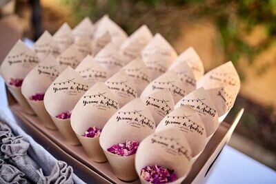CONO BODA