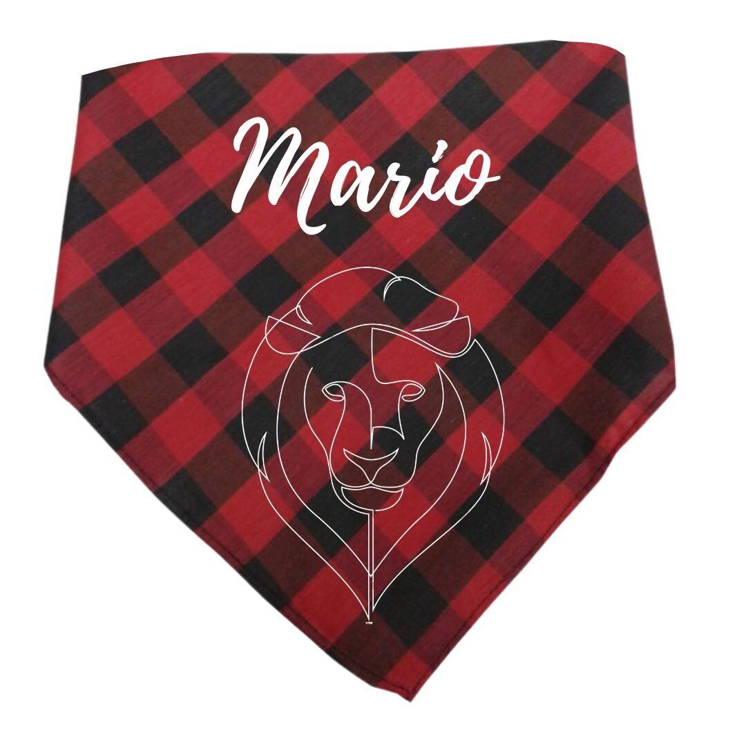 CACHIRULO PERSONALIZADO CON DIBUJOS