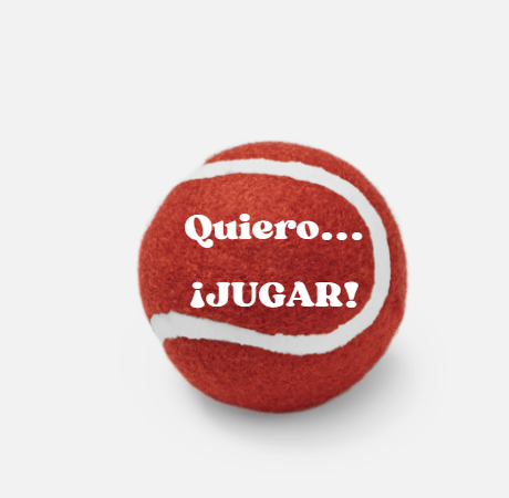 PELOTA QUIERO... JUGAR