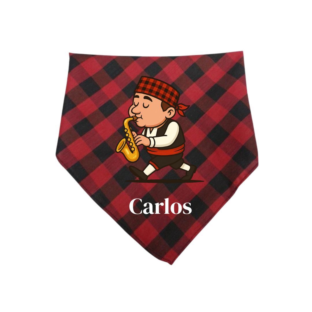 CACHIRULO DISEÑO MÚSICO