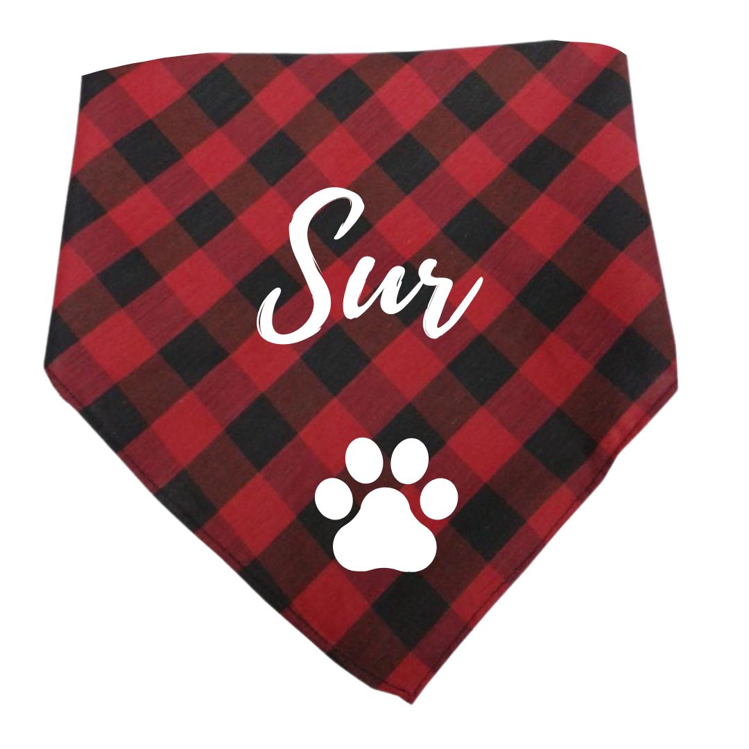 CACHIRULO PERSONALIZADO PARA MASCOTAS