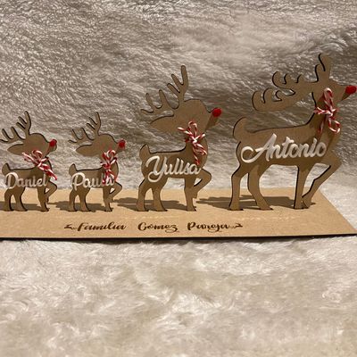 FAMILIA DE RENOS PERSONALIZADA